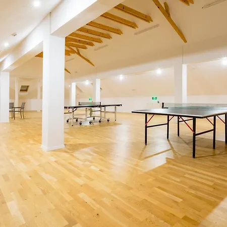 Pensiunea Salina Gymnasium 4* 图尔达