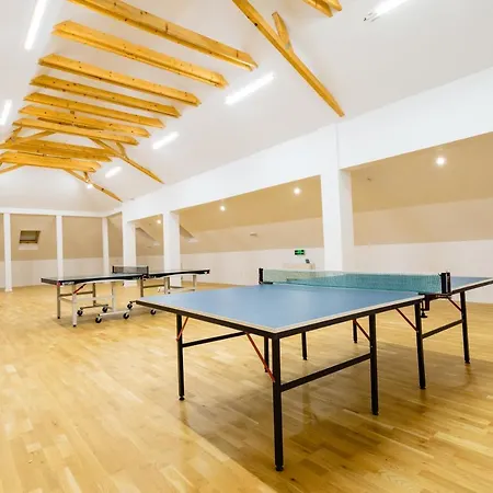 Pensiunea Salina Gymnasium 招待所